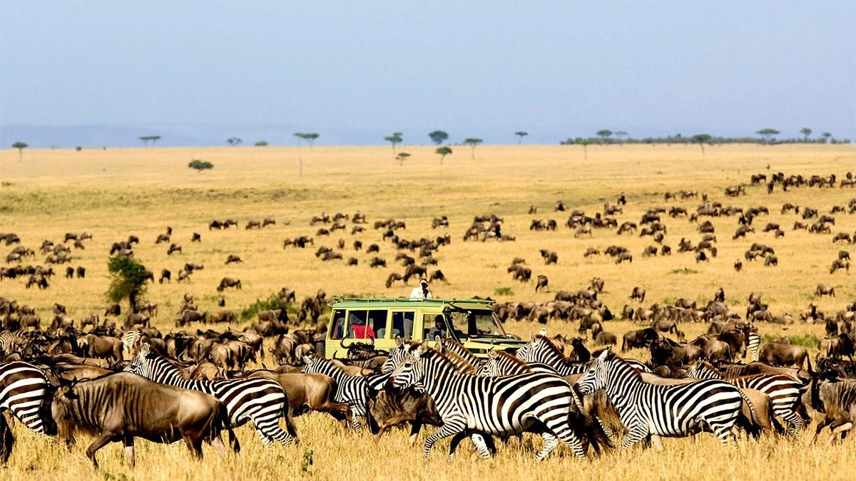 Safaro-tours-to-serengeti-national-park-1200x675
