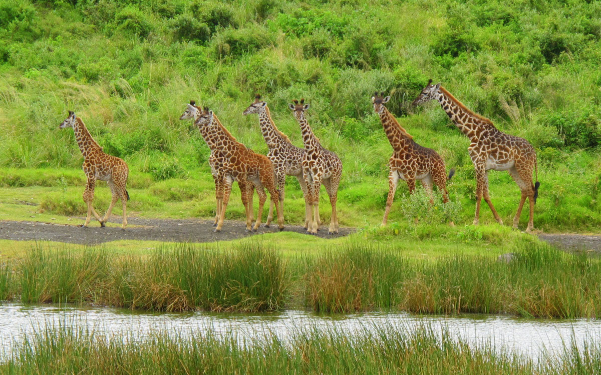 arusha-National-Park (1)