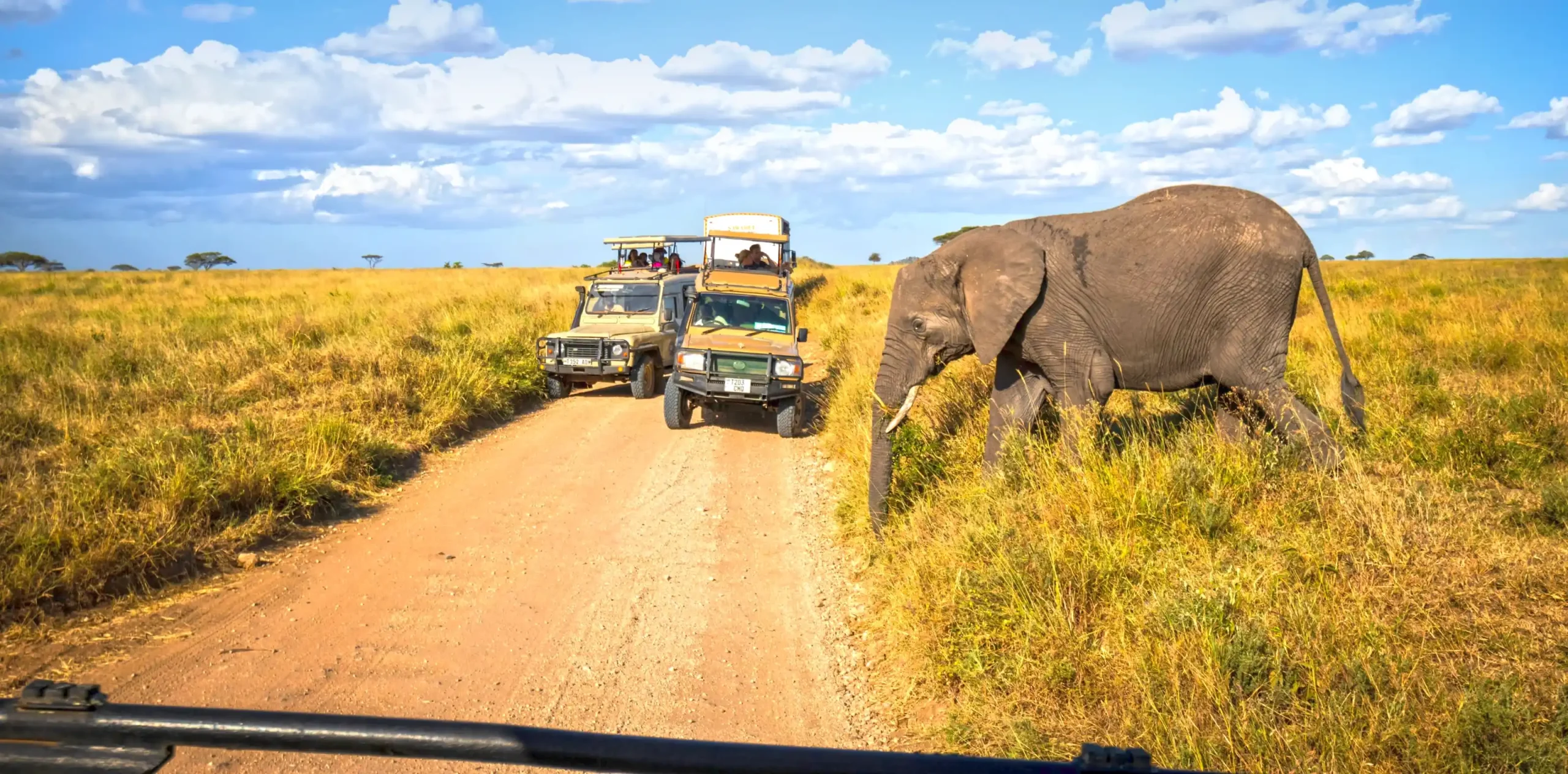 tanzania-wildlife-safari-packages-banner